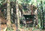 leva98.gif (36495 bytes)