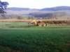 dsc00849_small.jpg